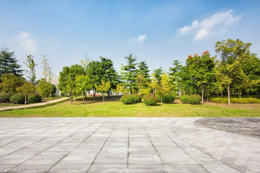 Aménagement extérieur à Nuits-Saint-Georges